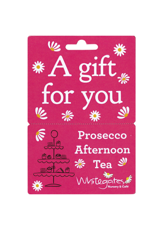5 x Prosecco Tea