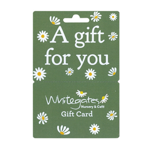 Gift Card - Sage